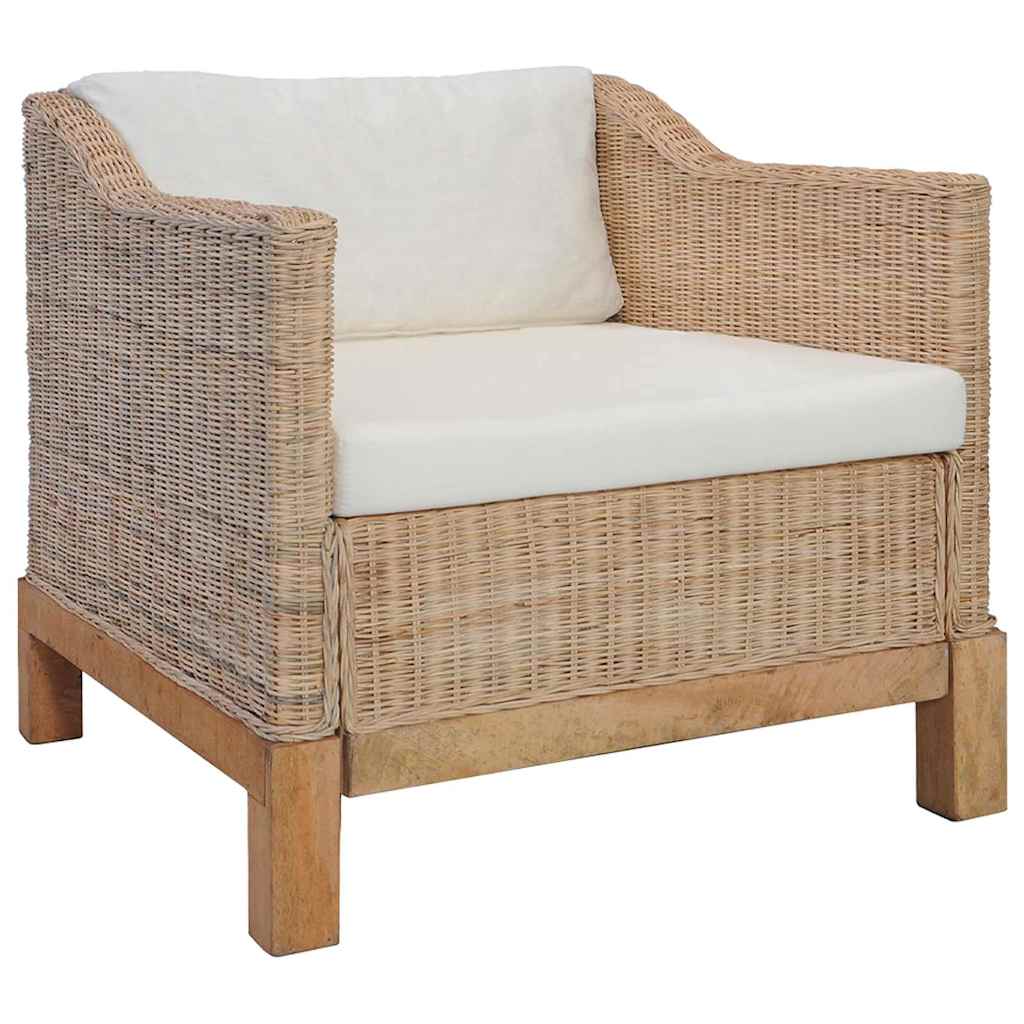 2-dijelni set sofa od prirodnog ratana s jastucima Smeđa