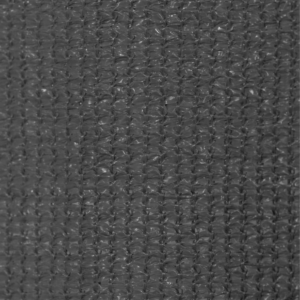 Vanjska roleta za zamračivanje 60 x 230 cm antracit