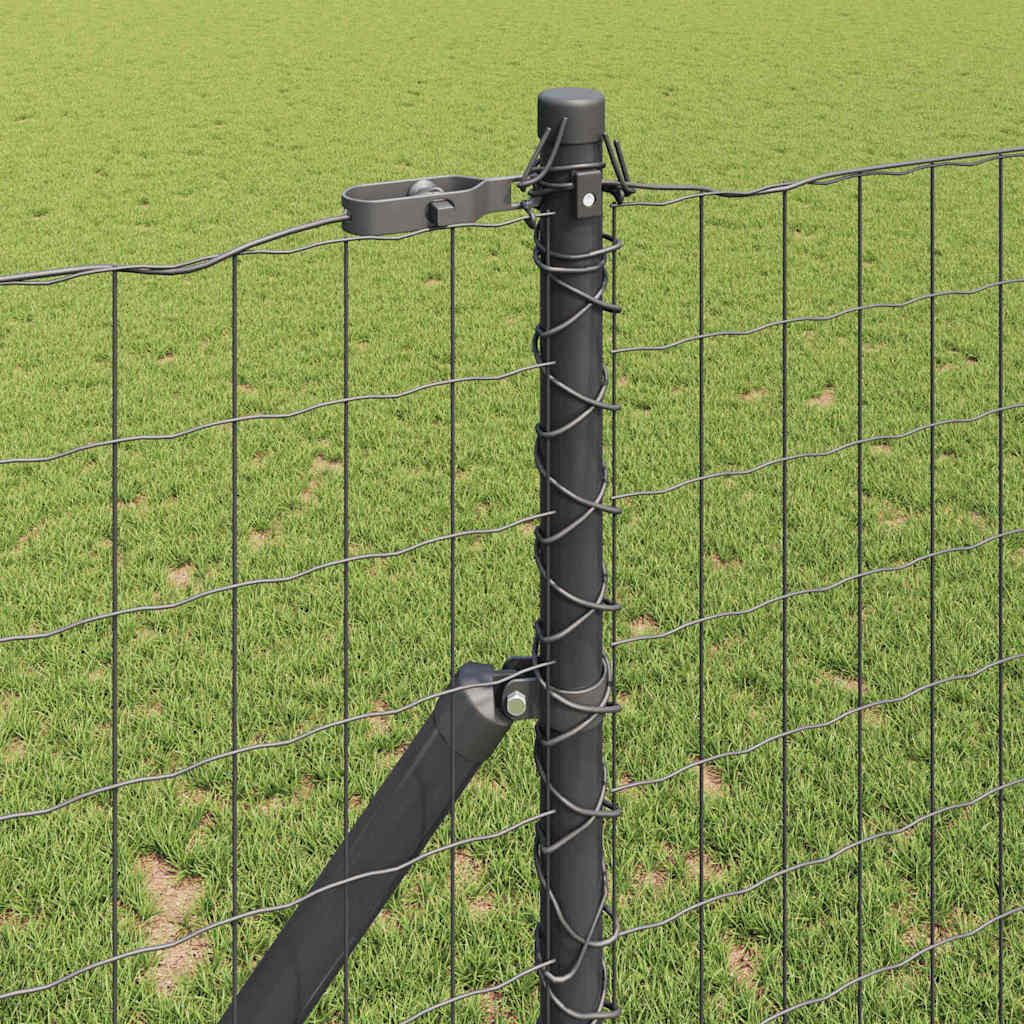 Temeljna zavarena žičana ograda 10 x 1 m (Š x V)