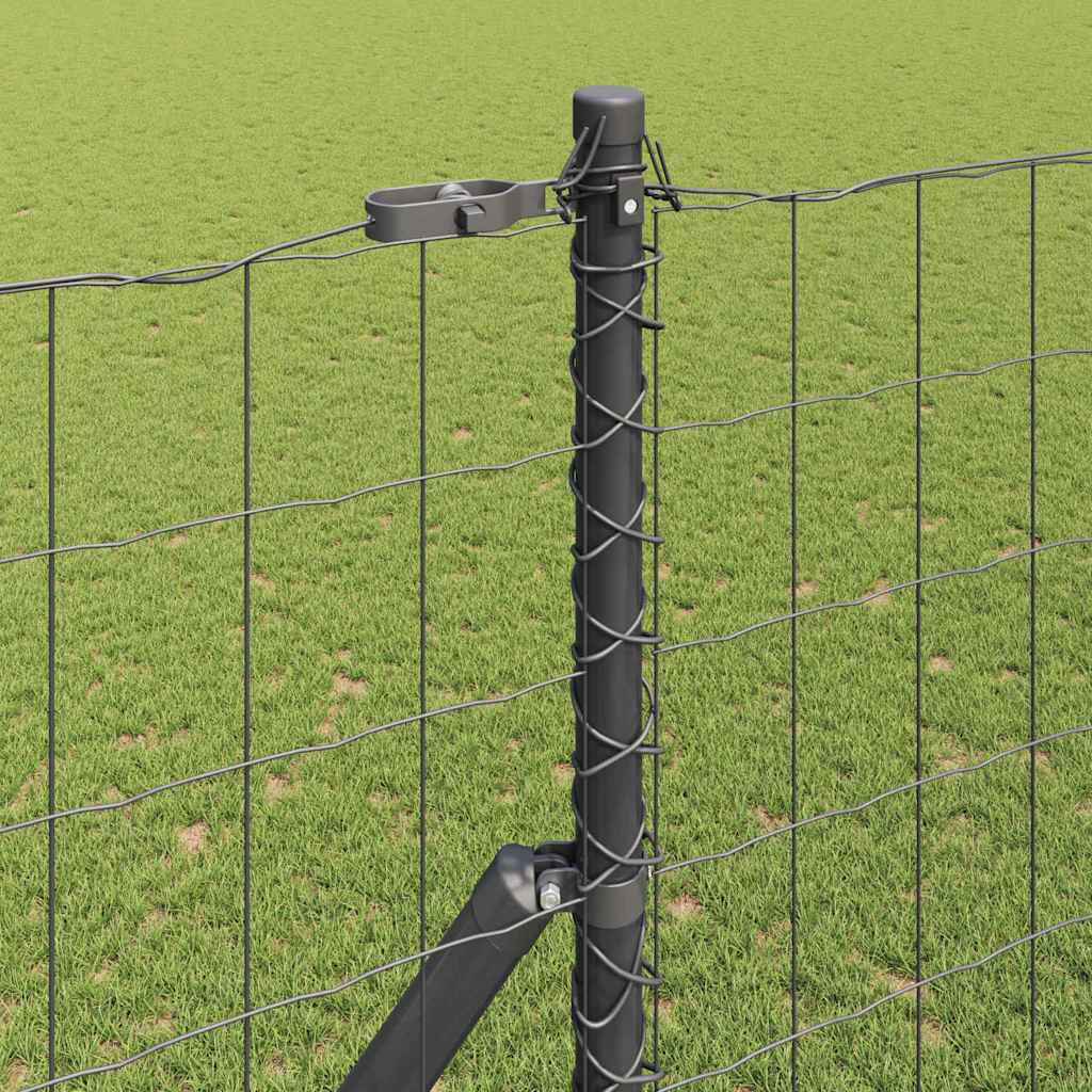 Temeljna zavarena žičana ograda 10 x 1,6 m (Š x V)