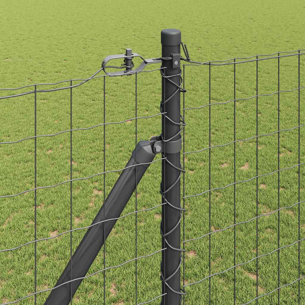 Zavareno žičano ograđivanje s bodljama 10 x 1,6 m (Š x V)