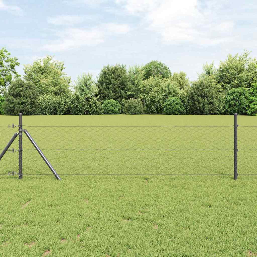 Temeljna zavarena žičana ograda 25 x 0,5 m (Š x V)
