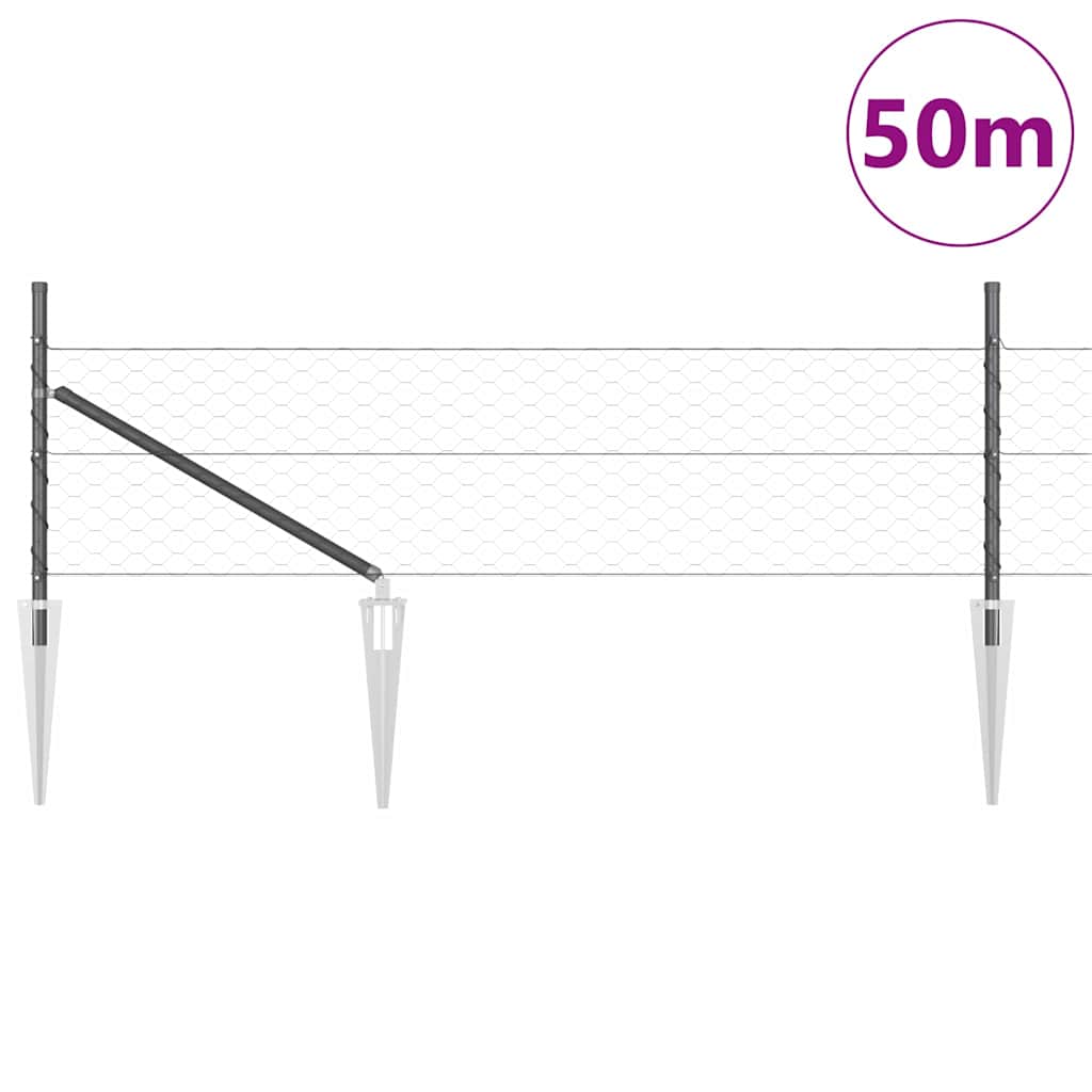 Zavareno žičano ograđivanje s bodljama 50 x 0,8 m (Š x V)