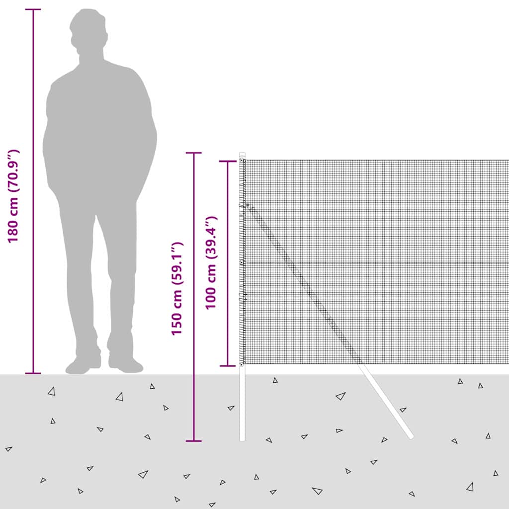 Temeljna zavarena žičana ograda 50 x 1 m Vruće pocinčani čelik