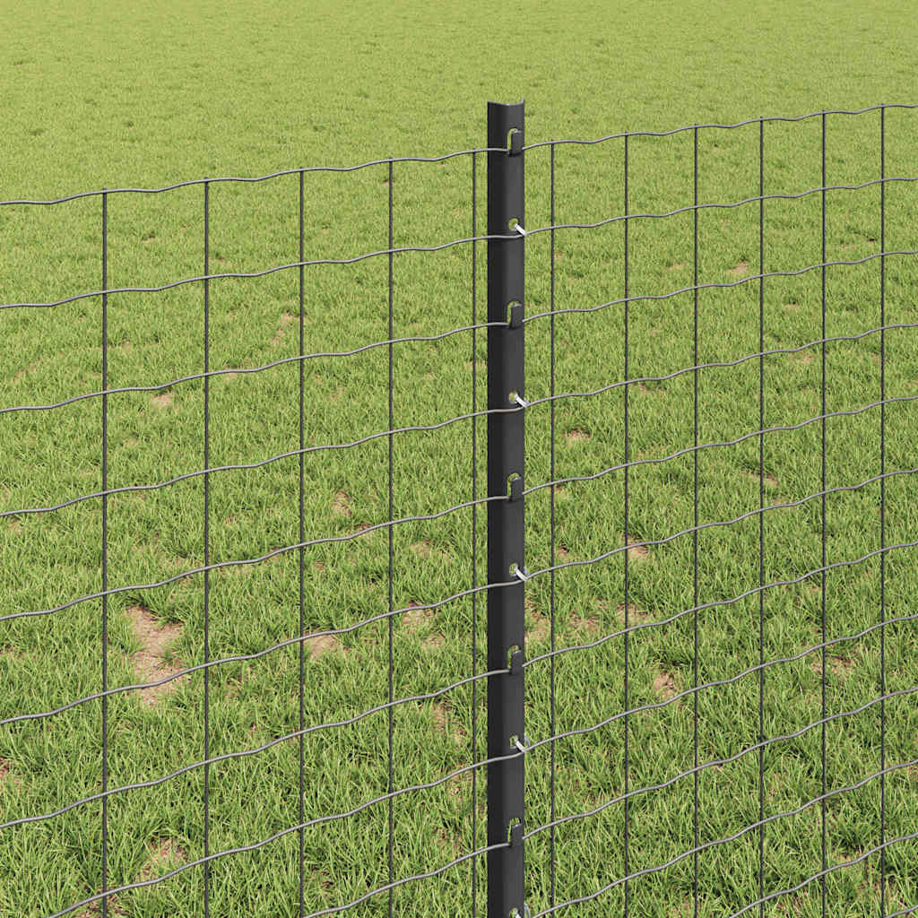 Zavarena žičana ograda 10 x 1 m (Š x V) Čelik premazan PVC-om
