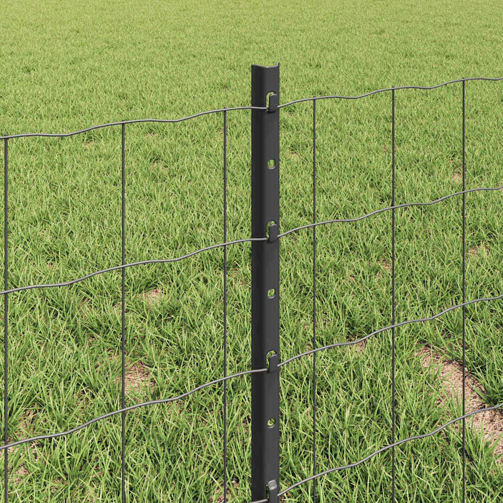 Zavarena žičana ograda 10 x 0,4 m (Š x V) Čelik premazan PVC-om