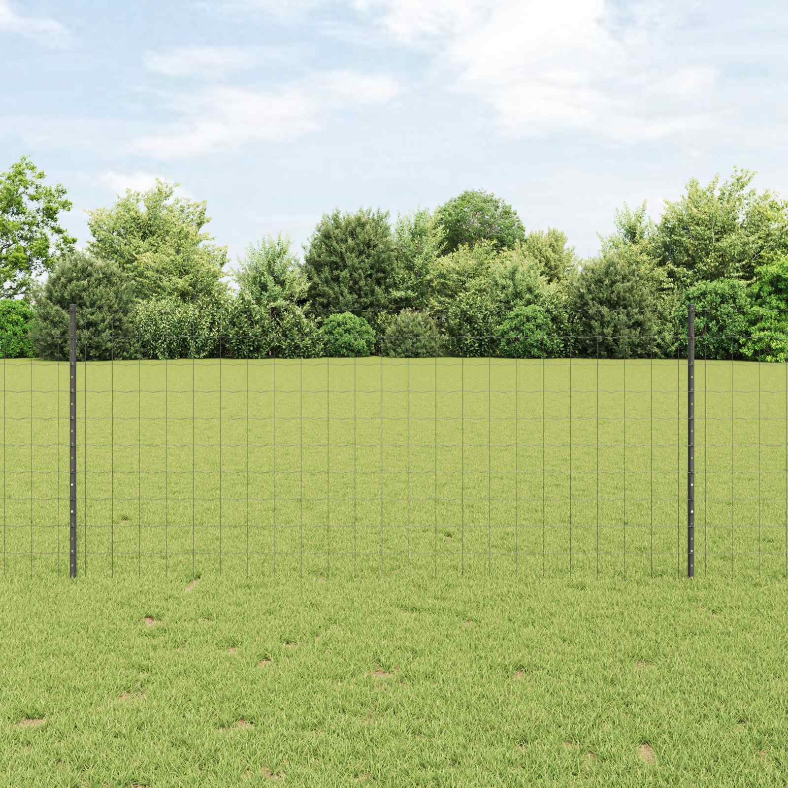 Zavarena žičana ograda 10 x 1 m (Š x V) Čelik premazan PVC-om