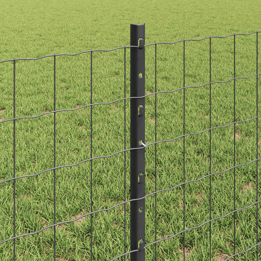Zavarena žičana ograda 50 x 0,6 m (Š x V) Čelik premazan PVC-om