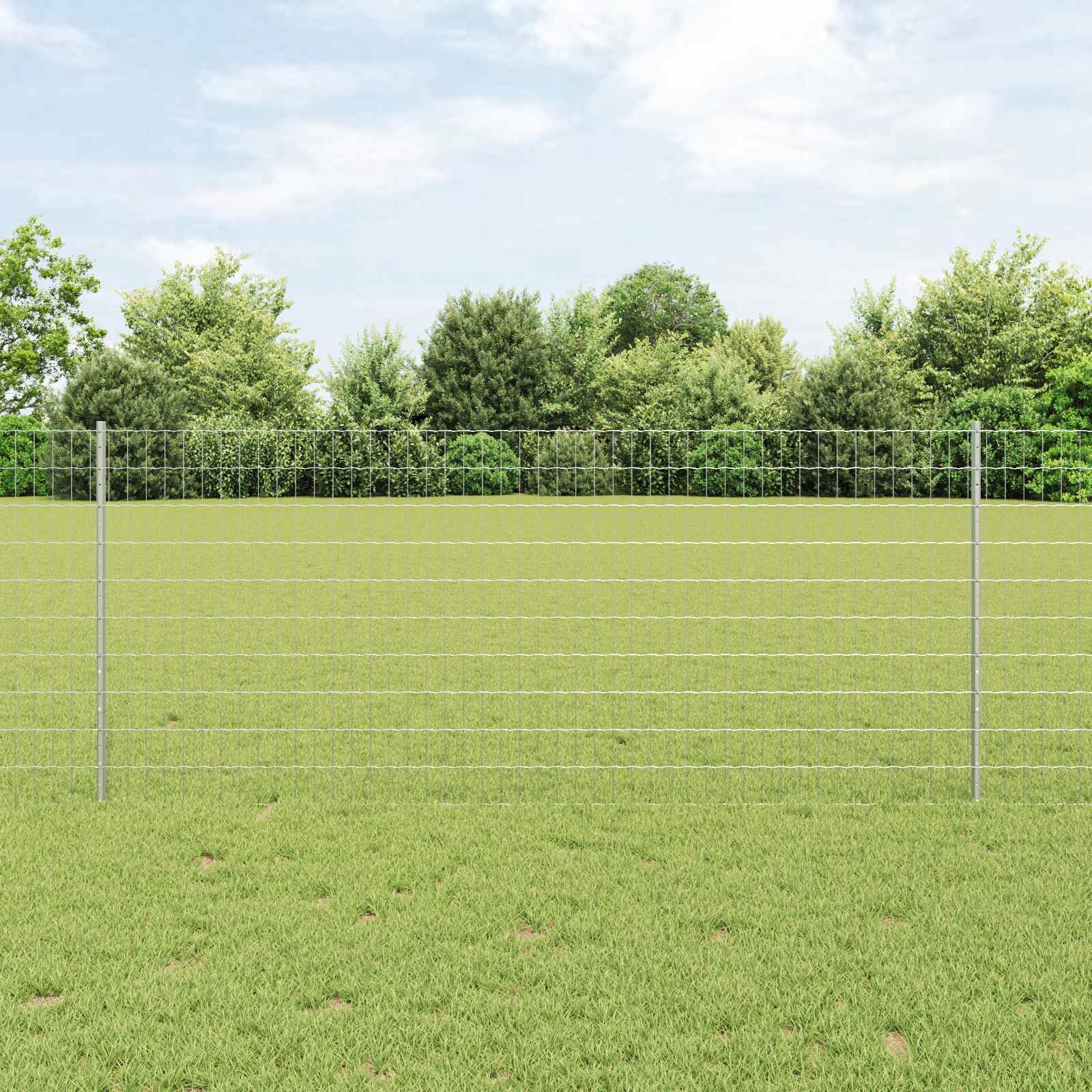 Zavarena žičana ograda 10 x 1 m (Š x V) Vruće pocinčani čelik