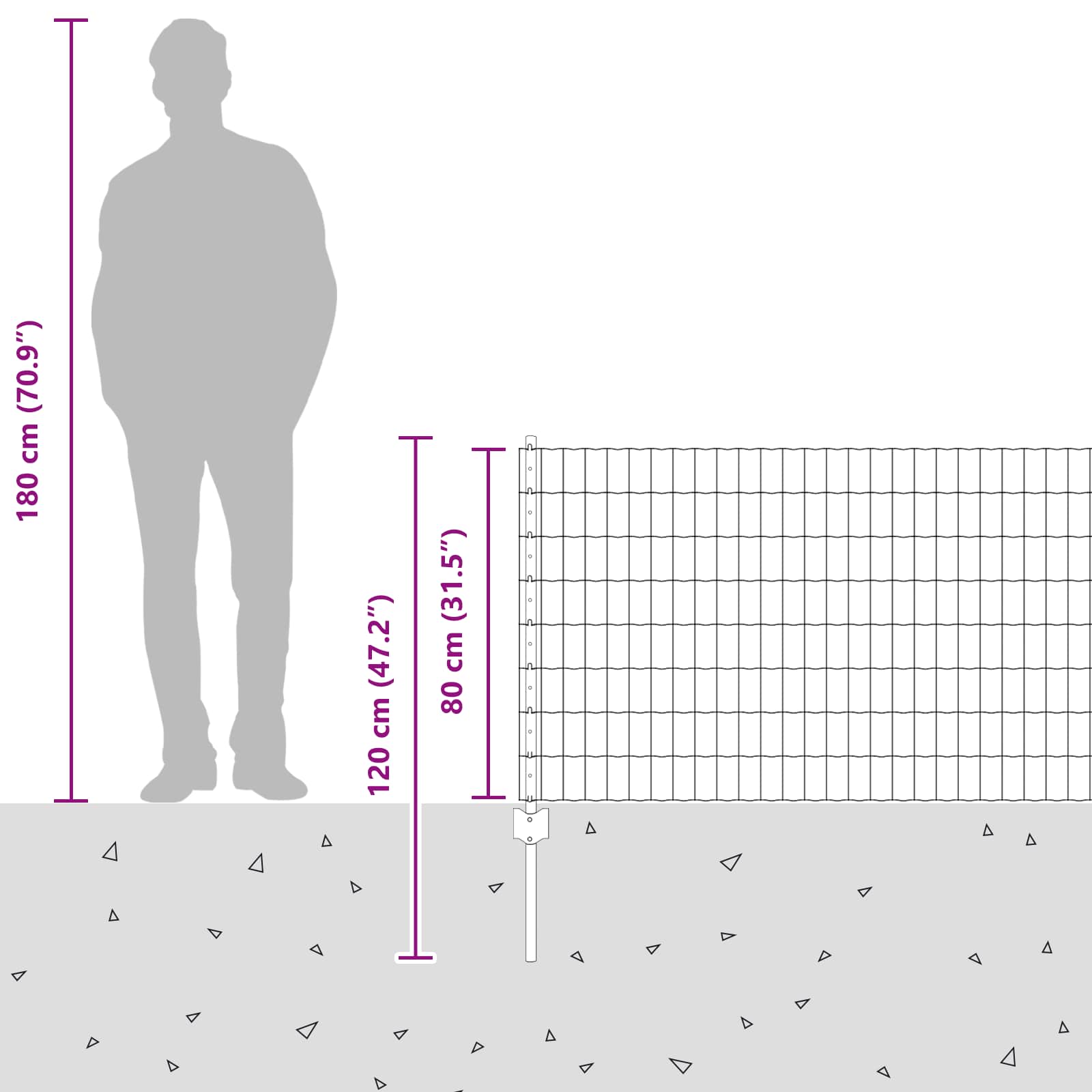 Zavarena žičana ograda 25 x 0,8 m (Š x V) Vruće pocinčani čelik