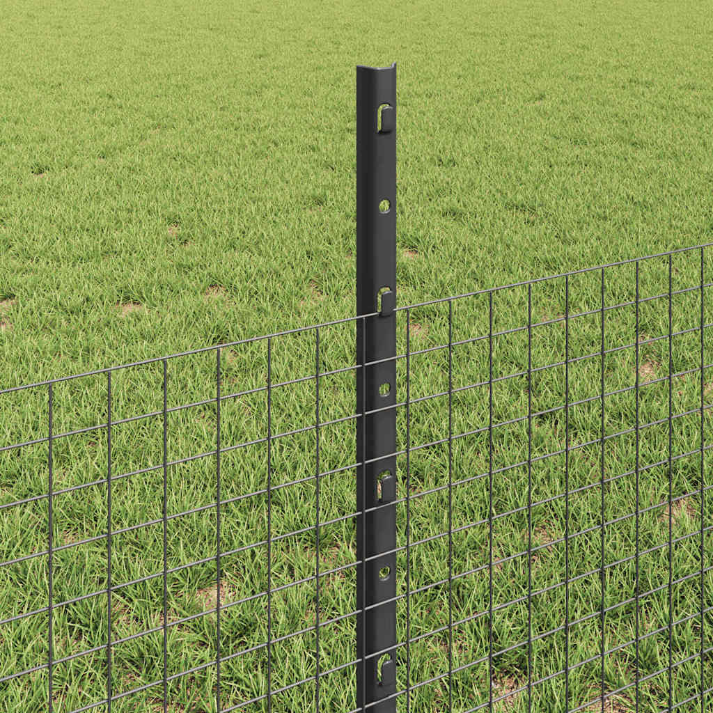 Zavarena žičana ograda s postom 25 x 0,5 m (Š x V)