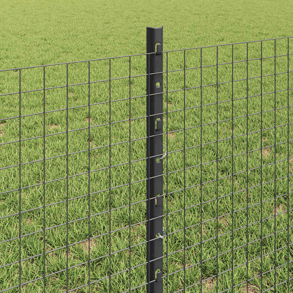 Zavarena žičana ograda s postom 100 x 0,6 m (Š x V)