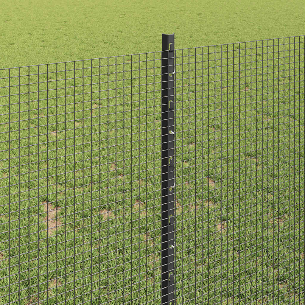 Zavarena žičana ograda s postom 100 x 1 m Čelik premazan PVC-om