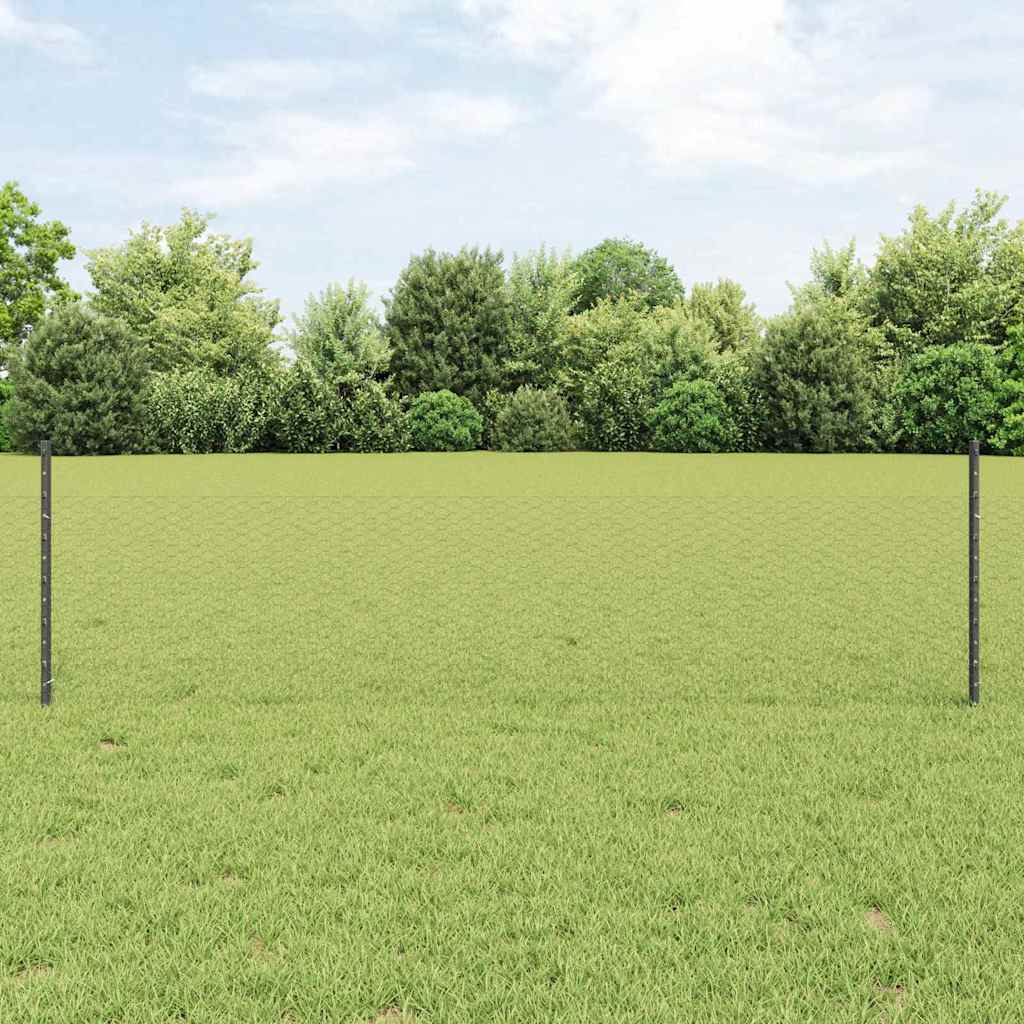 Zavarena žičana ograda 10 x 0,5 m (Š x V) Čelik premazan PVC-om