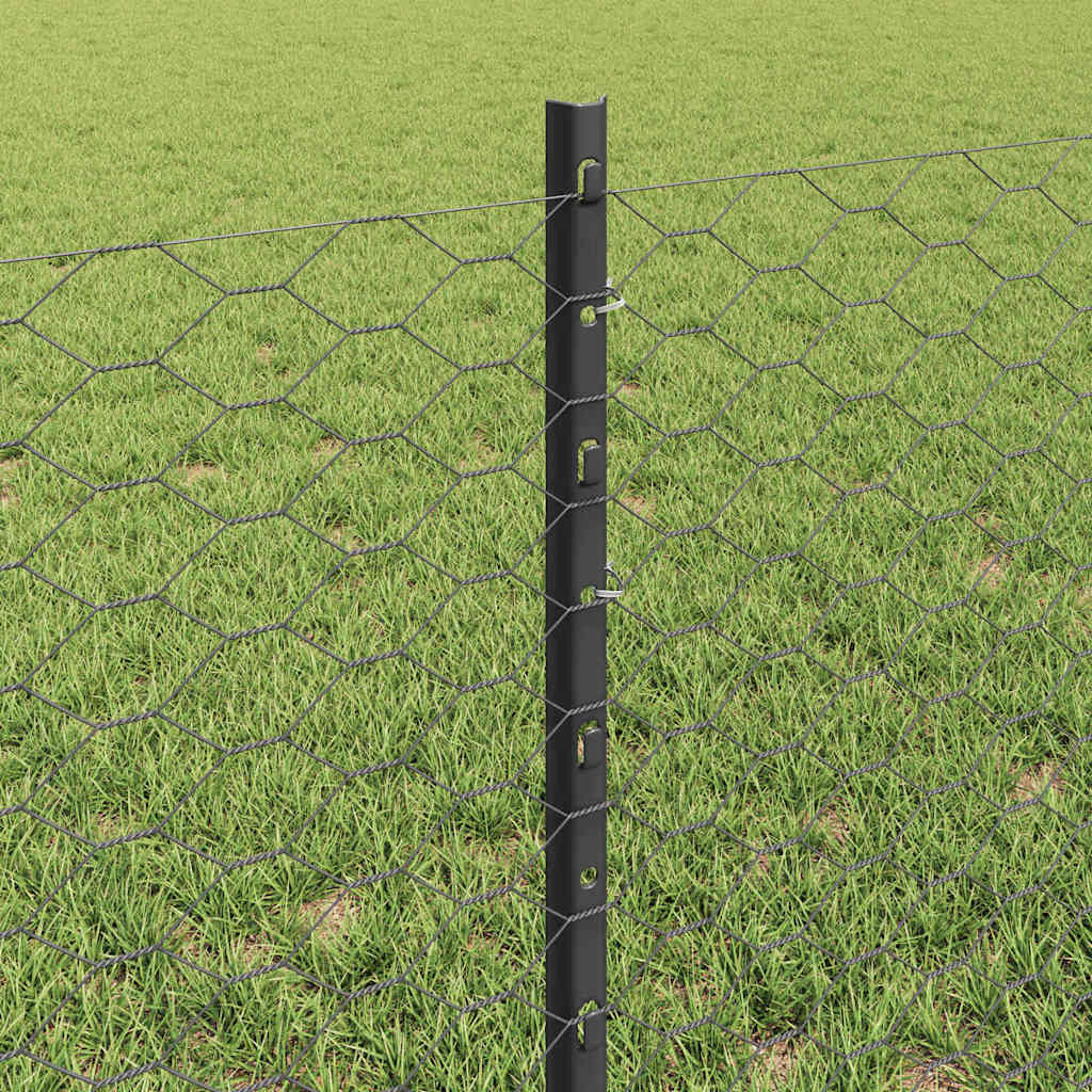 Zavarena žičana ograda 10 x 0,6 m (Š x V) Čelik premazan PVC-om