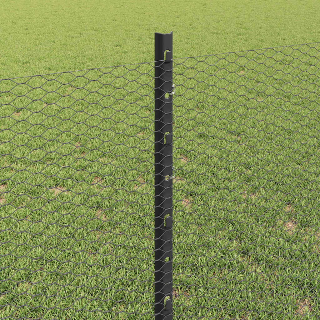 Zavarena žičana ograda 10 x 0,8 m (Š x V) Čelik premazan PVC-om