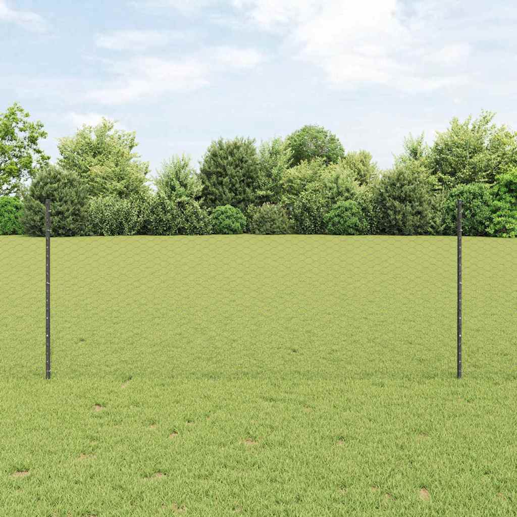 Zavarena žičana ograda 10 x 0,8 m (Š x V) Čelik premazan PVC-om