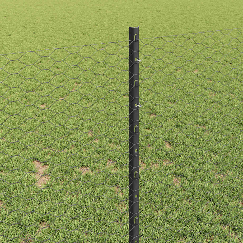Zavarena žičana ograda 10 x 1 m (Š x V) Čelik premazan PVC-om