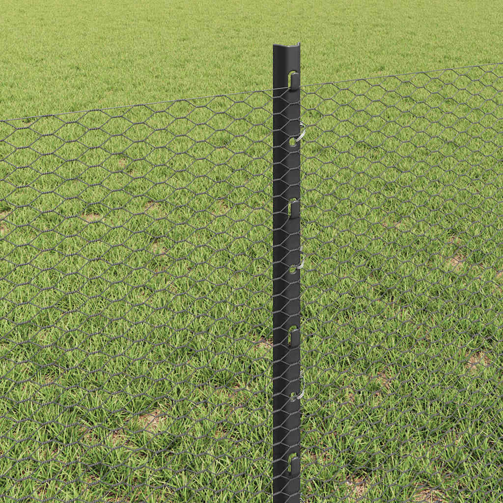 Zavarena žičana ograda 25 x 0,6 m (Š x V) Čelik premazan PVC-om
