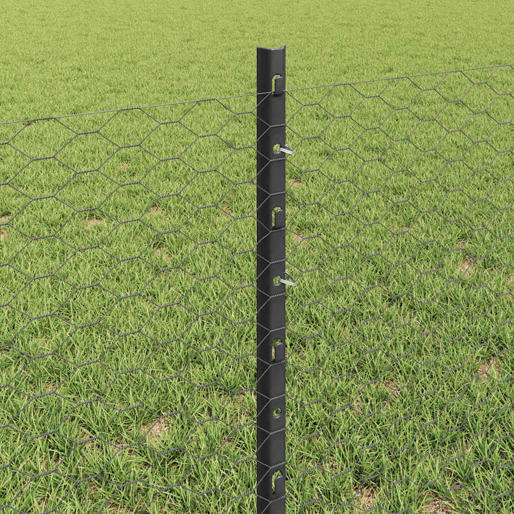 Zavarena žičana ograda 25 x 0,6 m (Š x V) Čelik premazan PVC-om