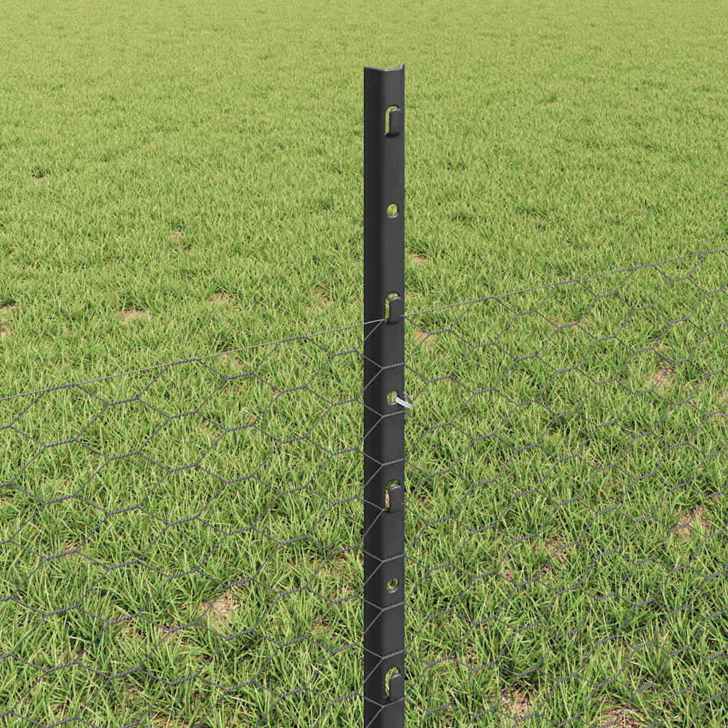 Zavarena žičana ograda 50 x 0,5 m (Š x V) Čelik premazan PVC-om