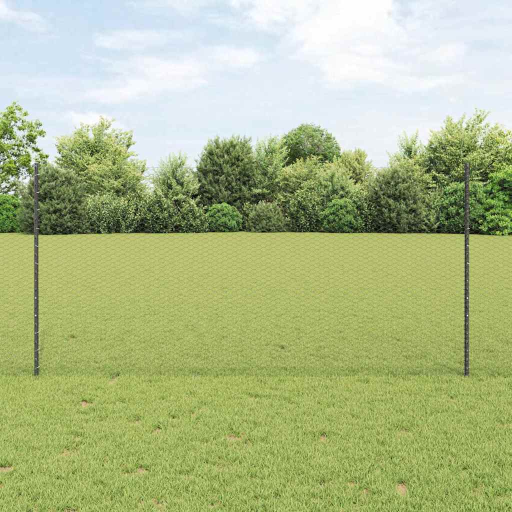 Zavarena žičana ograda 50 x 1,2 m (Š x V) Čelik premazan PVC-om