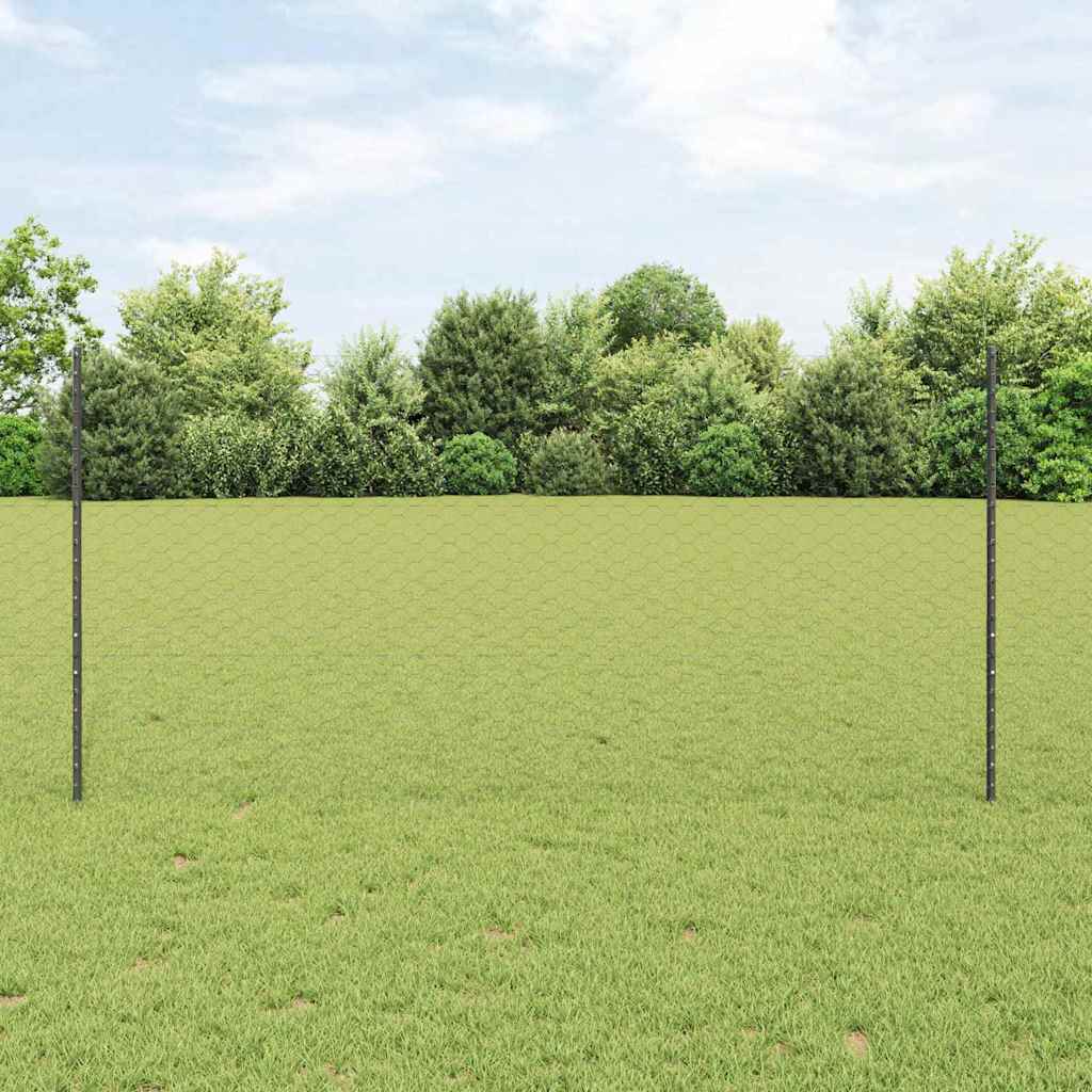 Zavarena žičana ograda 50 x 1,2 m (Š x V) Čelik premazan PVC-om