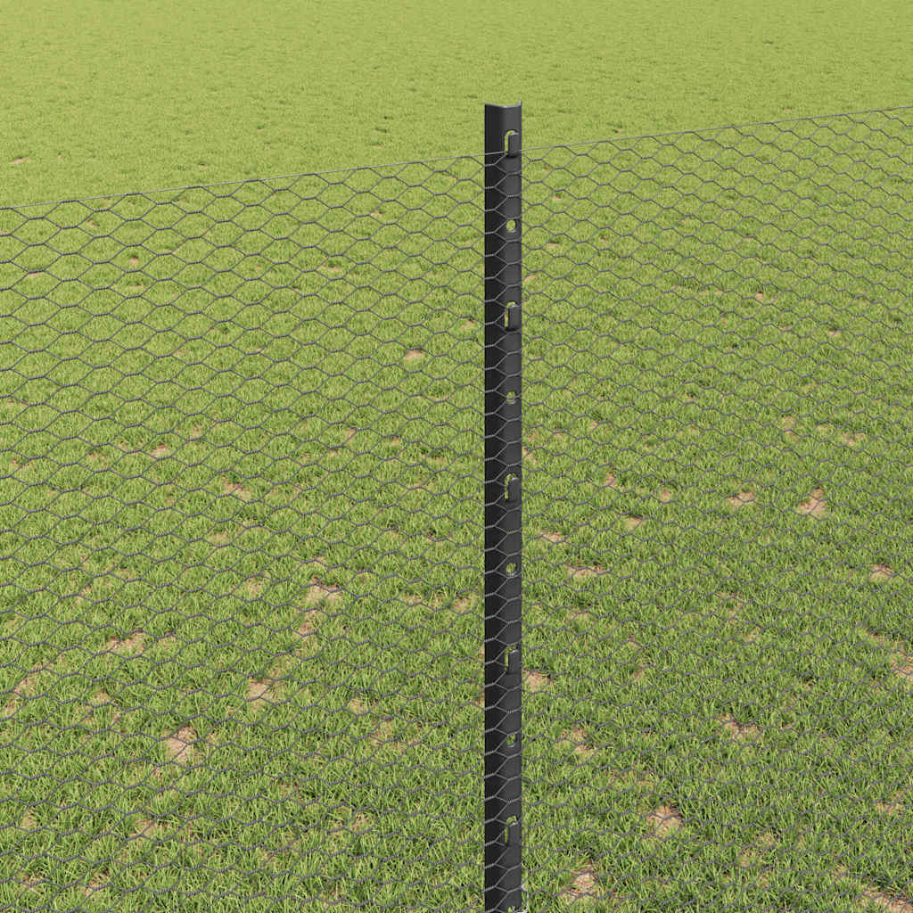 Zavarena žičana ograda 50 x 1,6 m (Š x V) Čelik premazan PVC-om