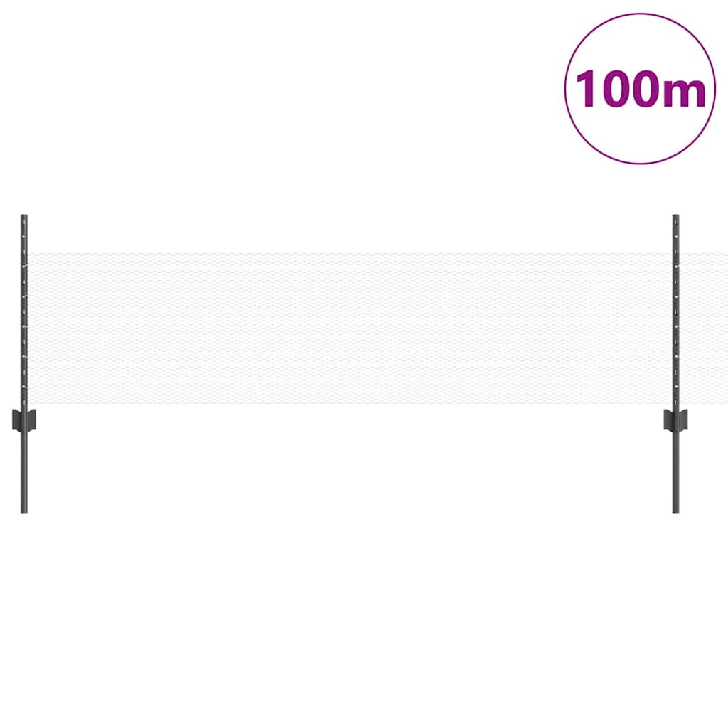 Zavarena žičana ograda 100 x 0,5 m (Š x V)