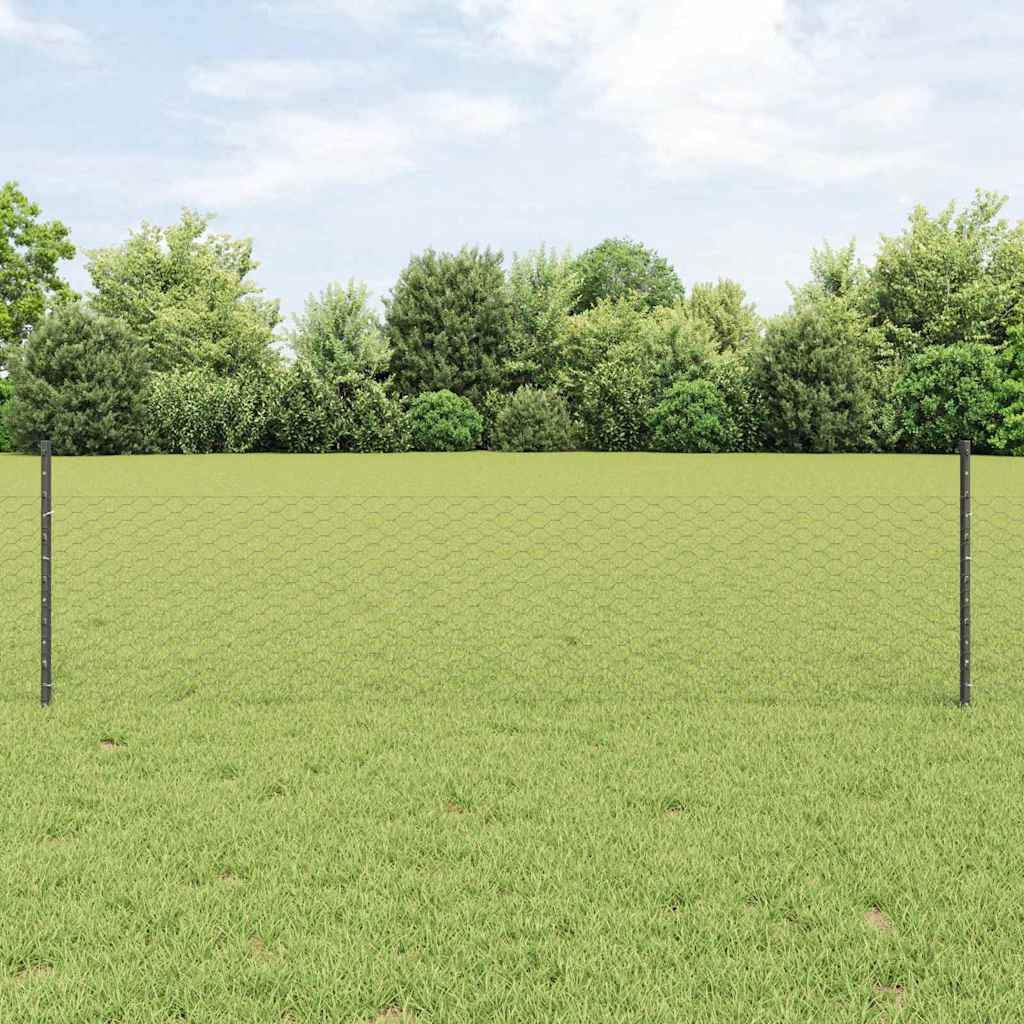 Zavarena žičana ograda 100 x 0,5 m (Š x V)