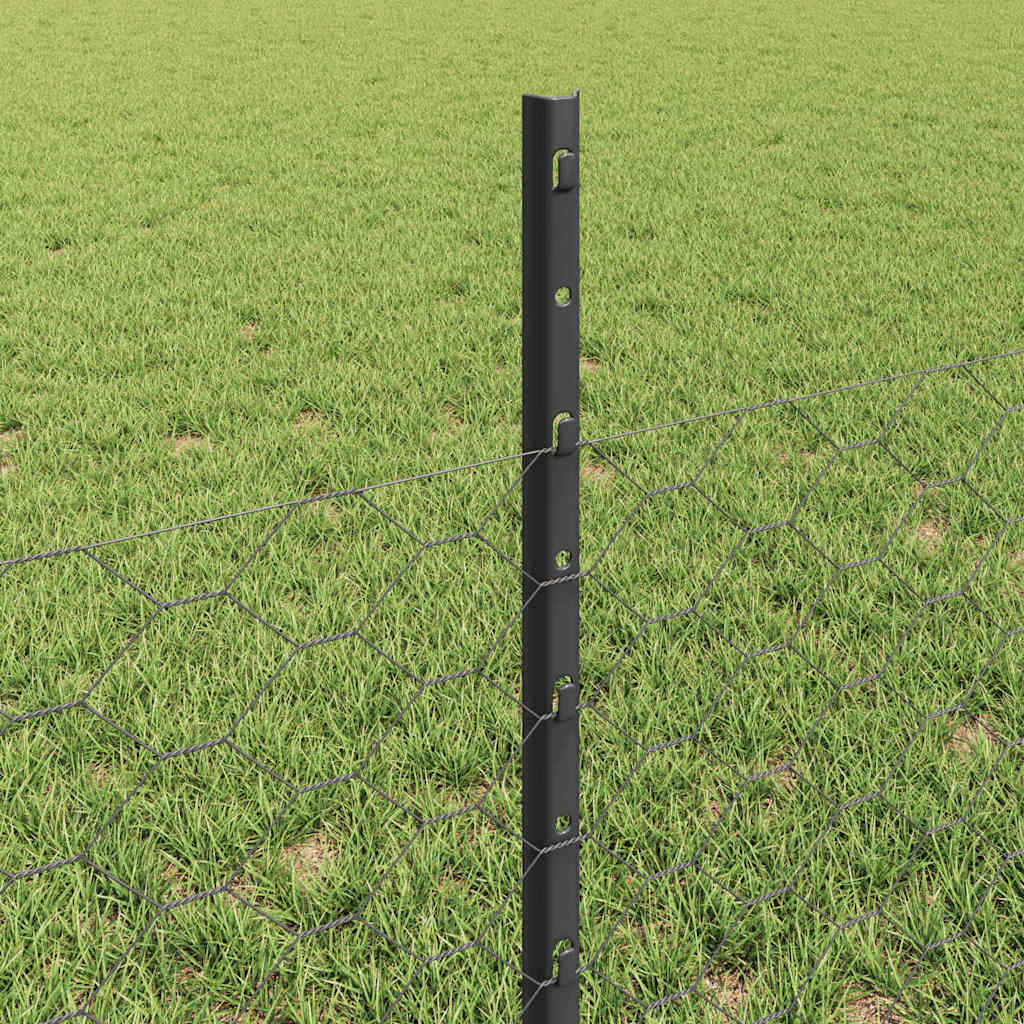 Zavarena žičana ograda 100 x 0,5 m (Š x V)