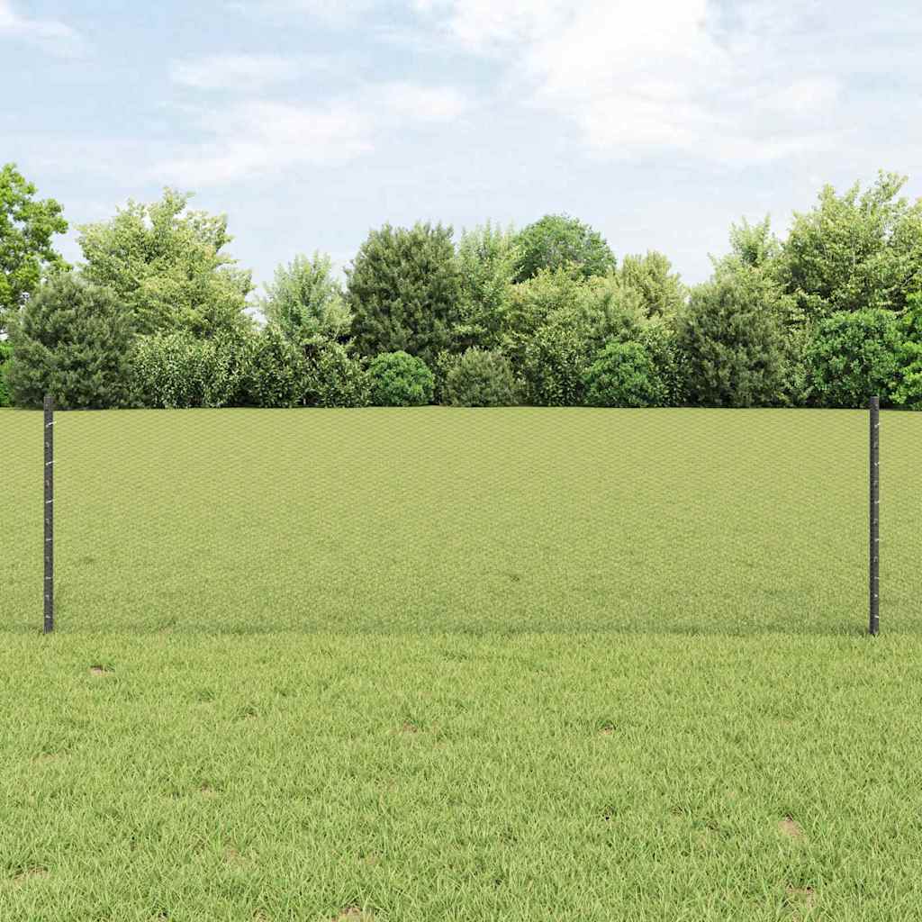 Zavarena žičana ograda 100 x 0,6 m (Š x V)