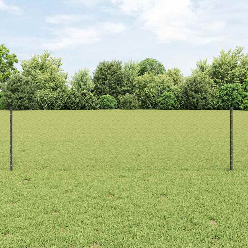 Zavarena žičana ograda 100 x 0,6 m (Š x V)