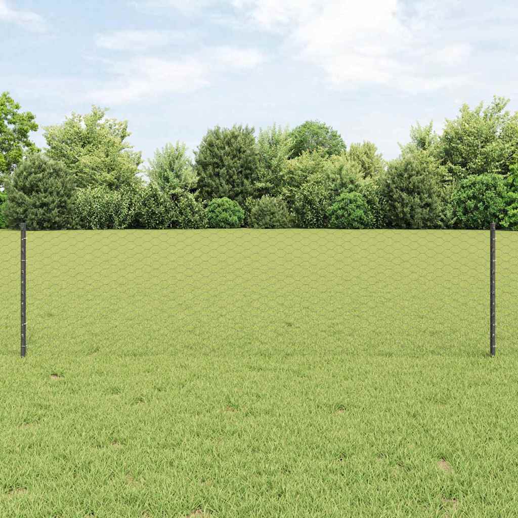 Zavarena žičana ograda 100 x 0,6 m (Š x V)