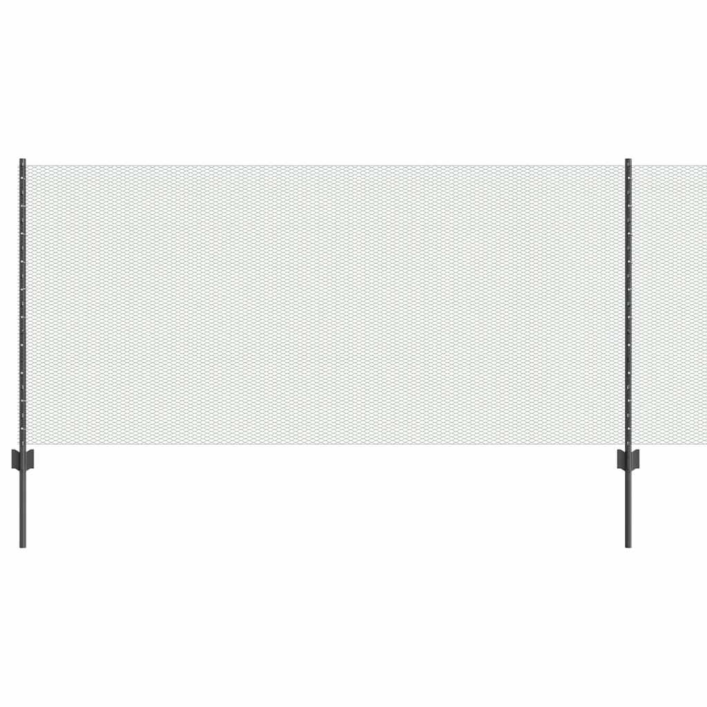 Zavarena žičana ograda 100 x 1 m (Š x V) Čelik premazan PVC-om