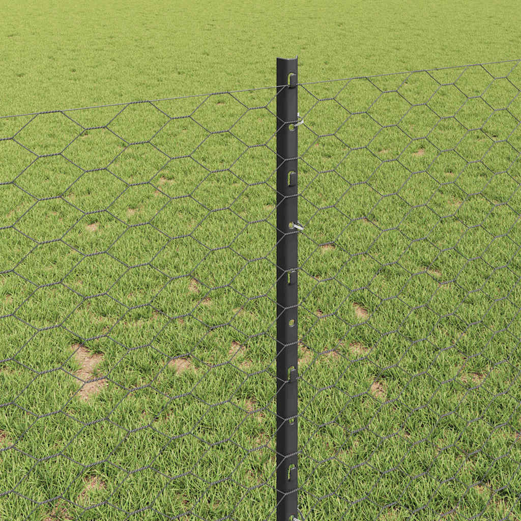 Zavarena žičana ograda 100 x 1 m (Š x V) Čelik premazan PVC-om