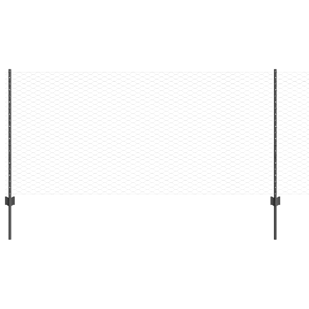 Zavarena žičana ograda 100 x 1 m (Š x V) Čelik premazan PVC-om