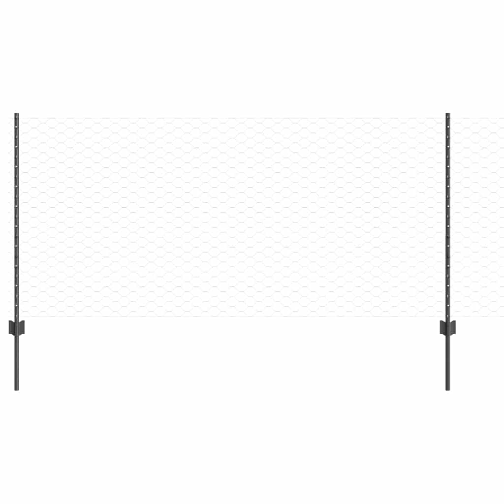 Zavarena žičana ograda 100 x 1 m (Š x V) Čelik premazan PVC-om