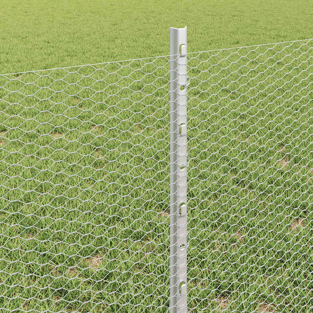 Zavarena žičana ograda 10 x 0,6 m (Š x V) Vruće pocinčani čelik