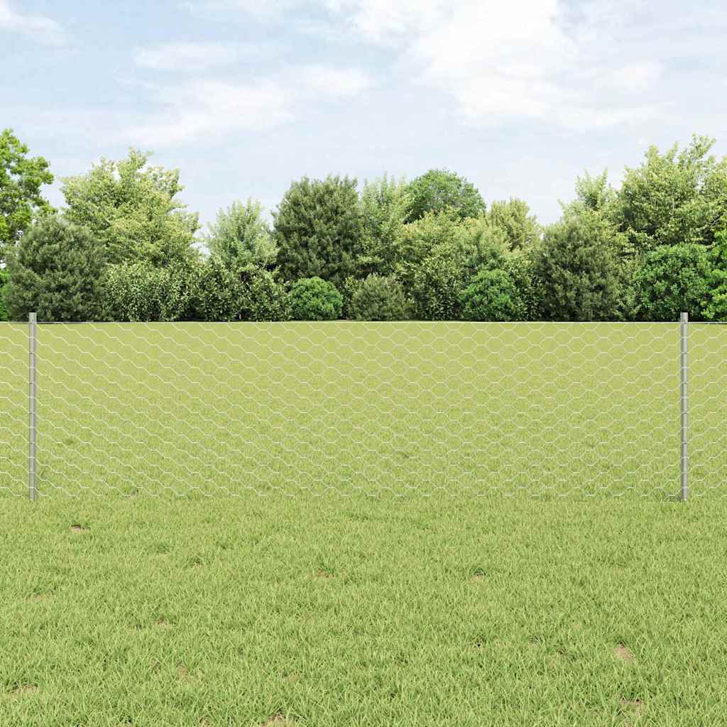 Zavarena žičana ograda 10 x 0,6 m (Š x V) Vruće pocinčani čelik