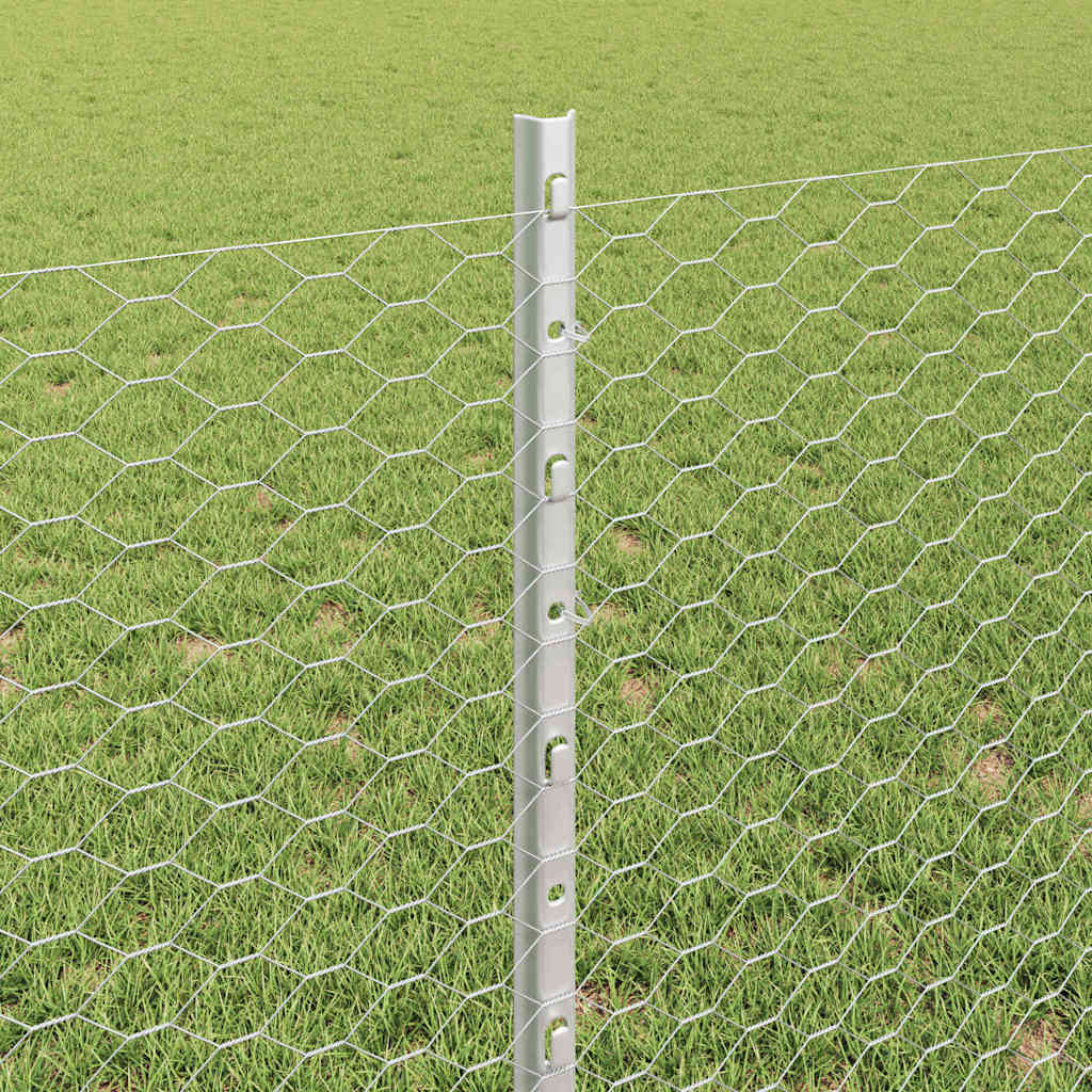 Zavarena žičana ograda 10 x 0,8 m (Š x V) Vruće pocinčani čelik