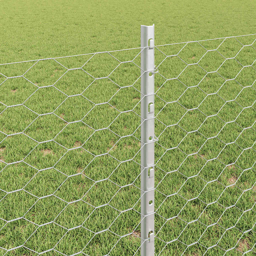 Zavarena žičana ograda 10 x 0,8 m (Š x V) Vruće pocinčani čelik