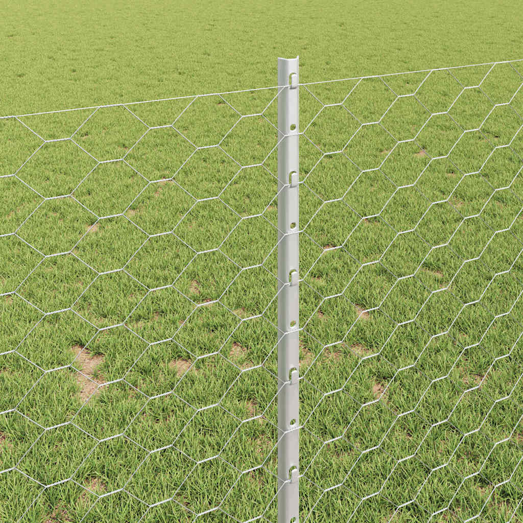 Zavarena žičana ograda 10 x 1 m (Š x V) Vruće pocinčani čelik