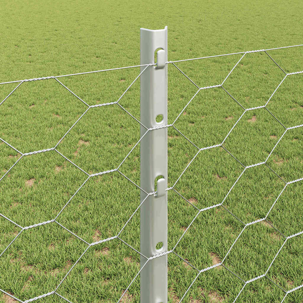 Zavarena žičana ograda 10 x 1,2 m (Š x V) Vruće pocinčani čelik