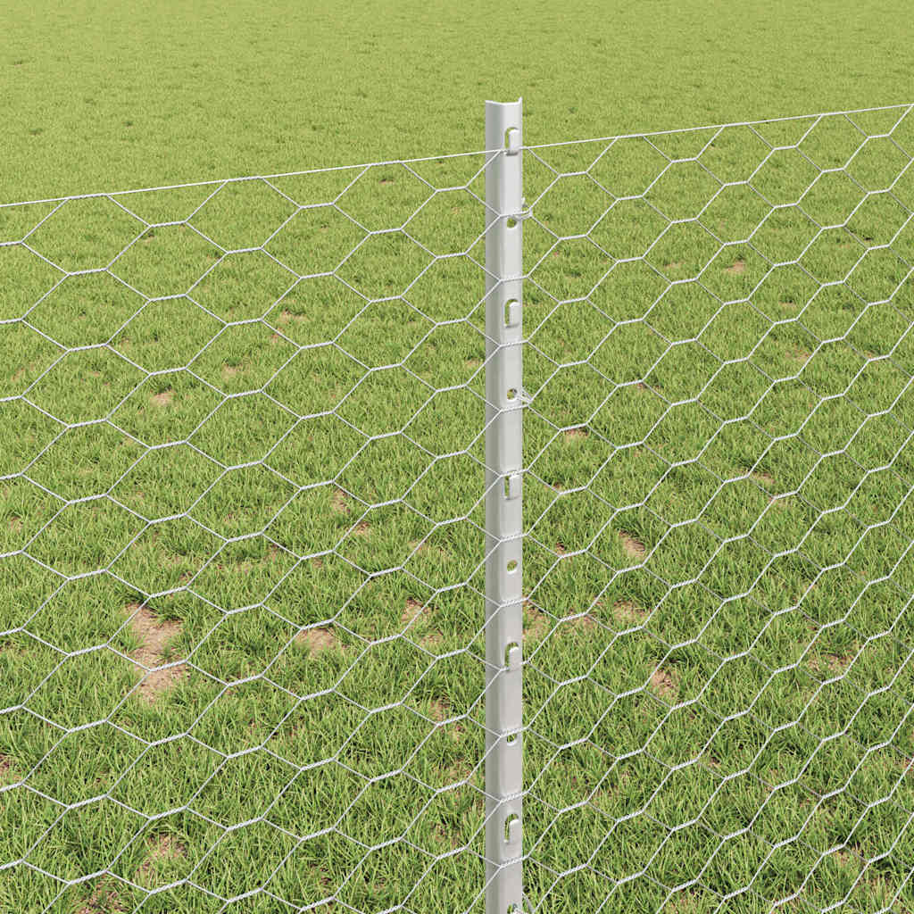 Zavarena žičana ograda 25 x 1 m (Š x V) Vruće pocinčani čelik