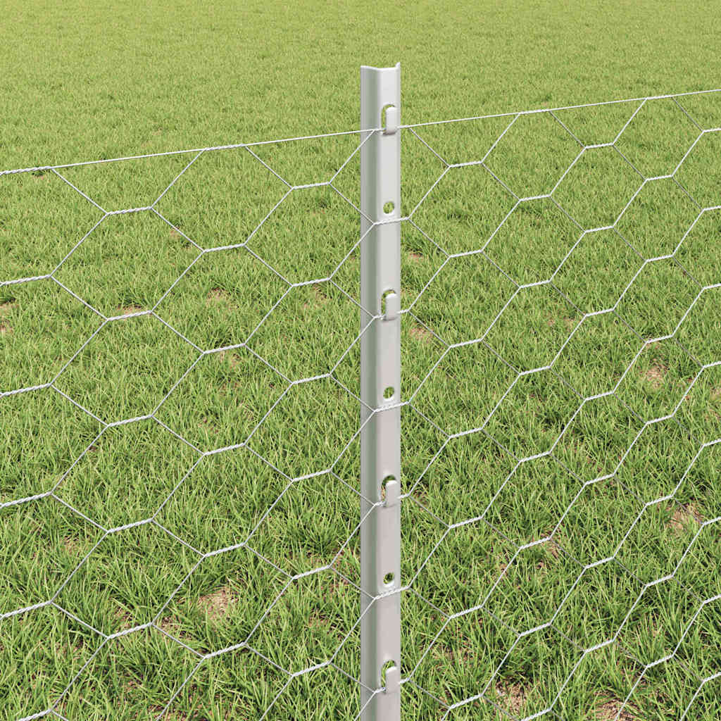 Zavarena žičana ograda 50 x 0,6 m (Š x V) Vruće pocinčani čelik