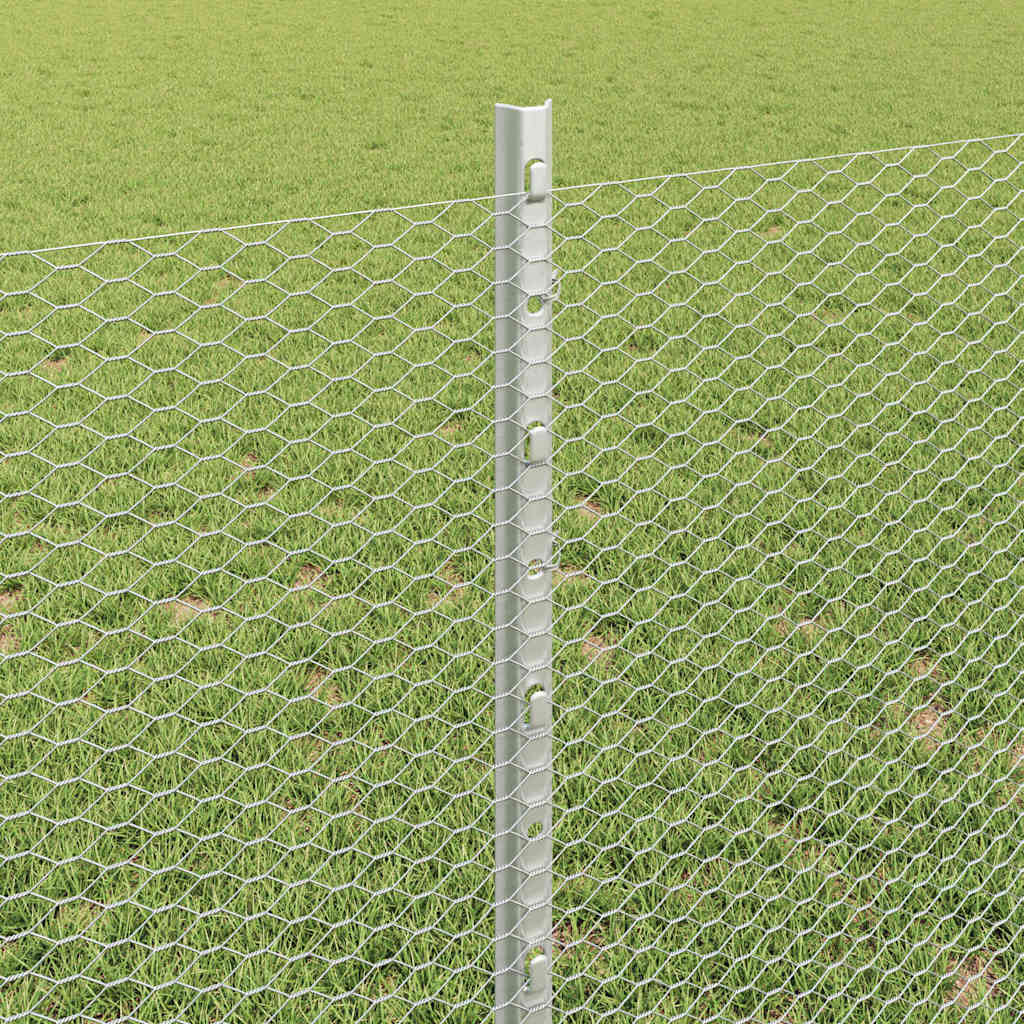 Zavarena žičana ograda 50 x 0,8 m (Š x V) Vruće pocinčani čelik