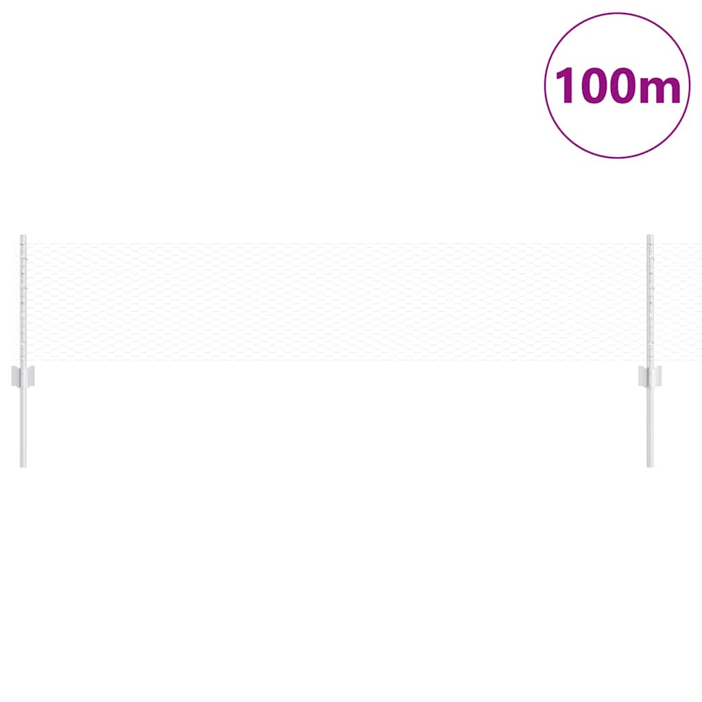Zavarena žičana ograda 100 x 0,4 m (Š x V)