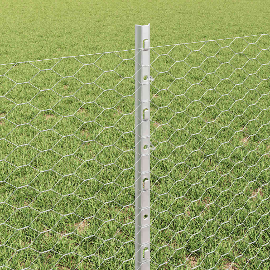 Zavarena žičana ograda 100 x 0,6 m (Š x V)