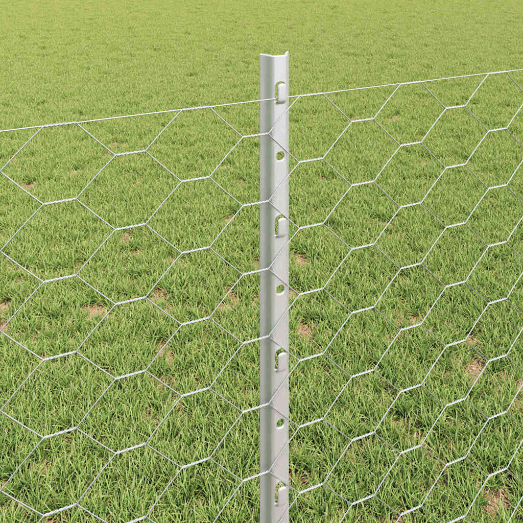 Zavarena žičana ograda 100 x 0,8 m (Š x V)